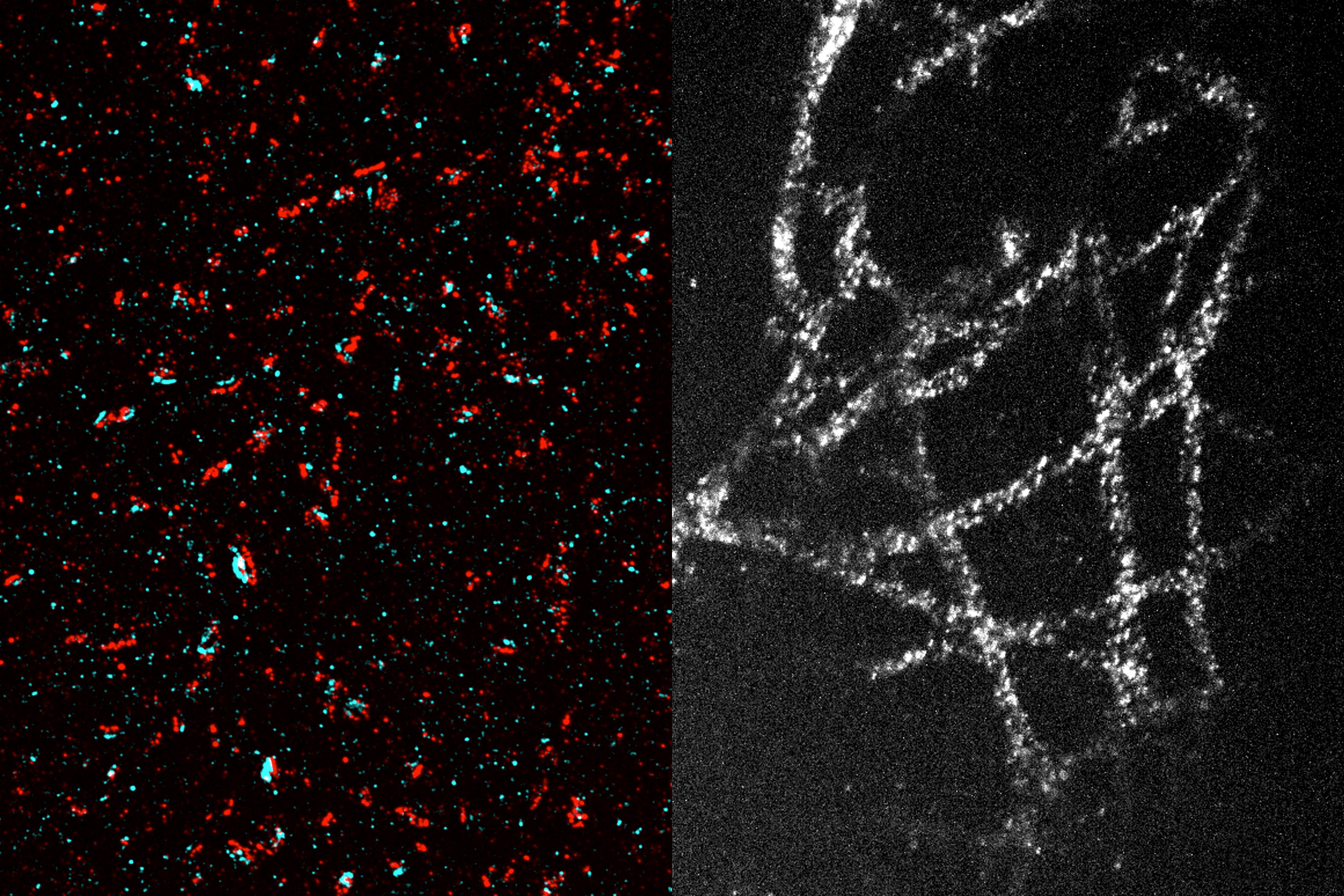 a-new-method-makes-high-resolution-imaging-more-accessible