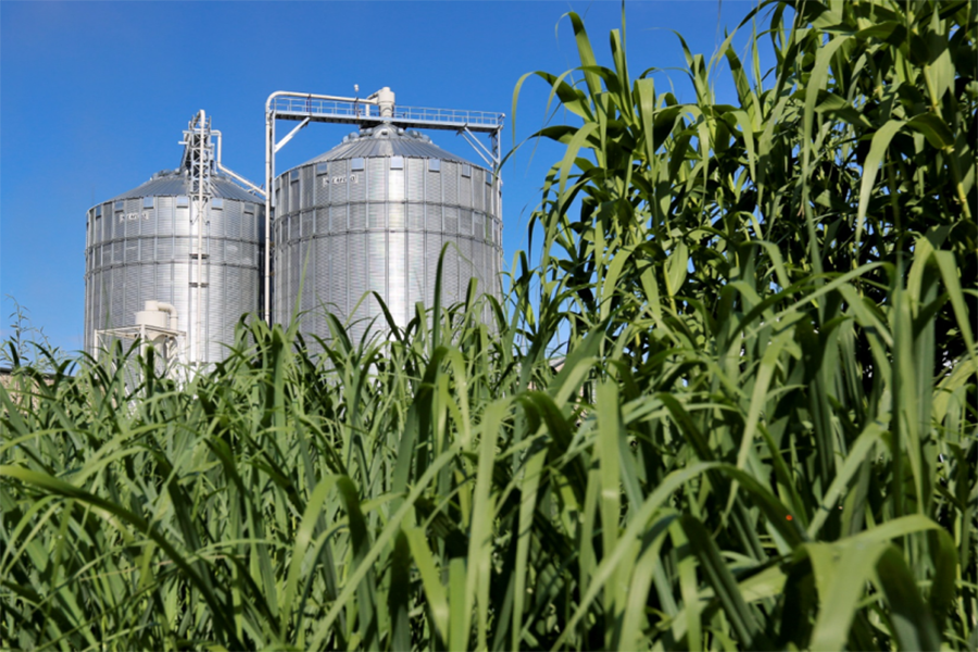 is-there-enough-land-on-earth-to-fight-climate-change-and-feed-the-world?