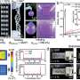 super-adhesive-patches-can-adapt-to-different-motions-for-enhanced-skin-interaction