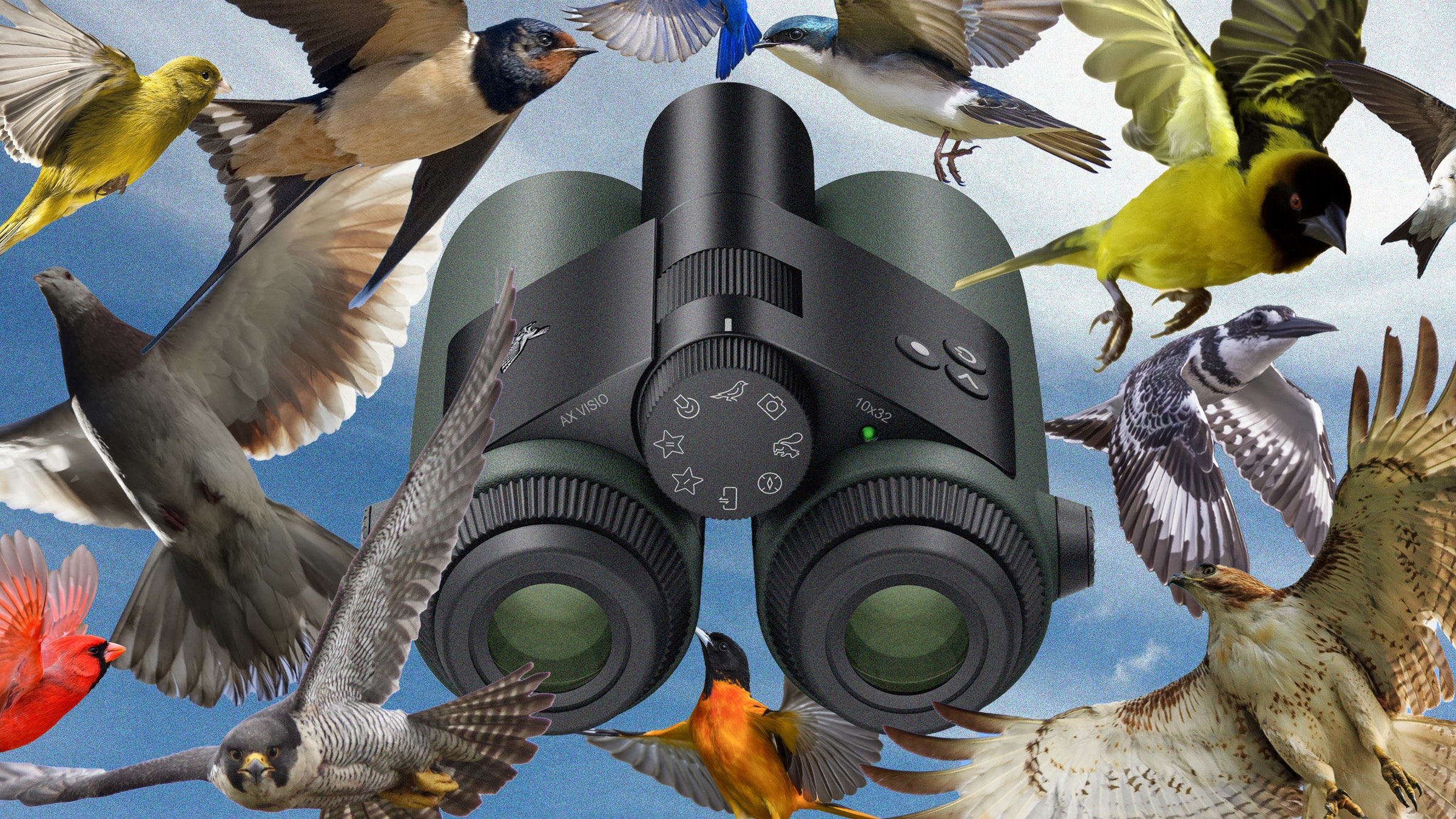 i-went-birding-with-the-world’s-first-ai-powered-binoculars