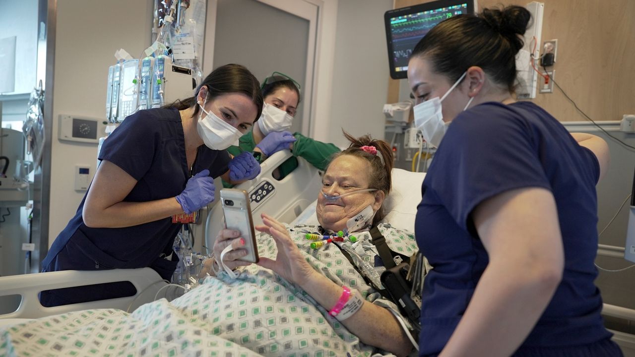 new-jersey-woman-becomes-second-patient-ever-to-receive-pig-kidney