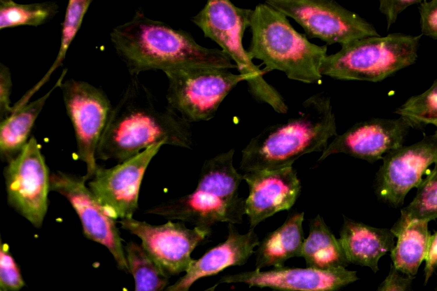 a-new-framework-to-efficiently-screen-drugs