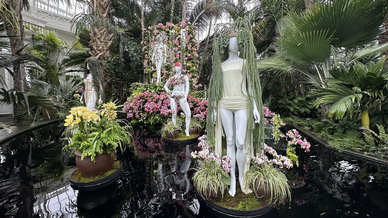 annual-orchid-show-brings-flowers-and-fashion-together