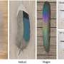 computer-scientists-digitally-render-iridescent-bird-feathers