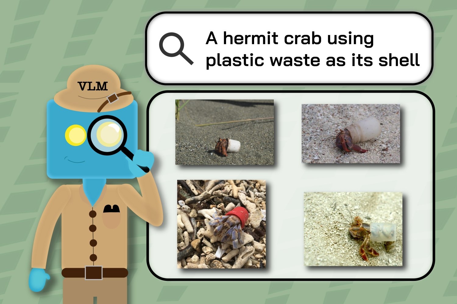 ecologists-find-computer-vision-models’-blind-spots-in-retrieving-wildlife-images