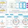 case-study-demonstrates-practical-applications-for-quantum-machine-learning