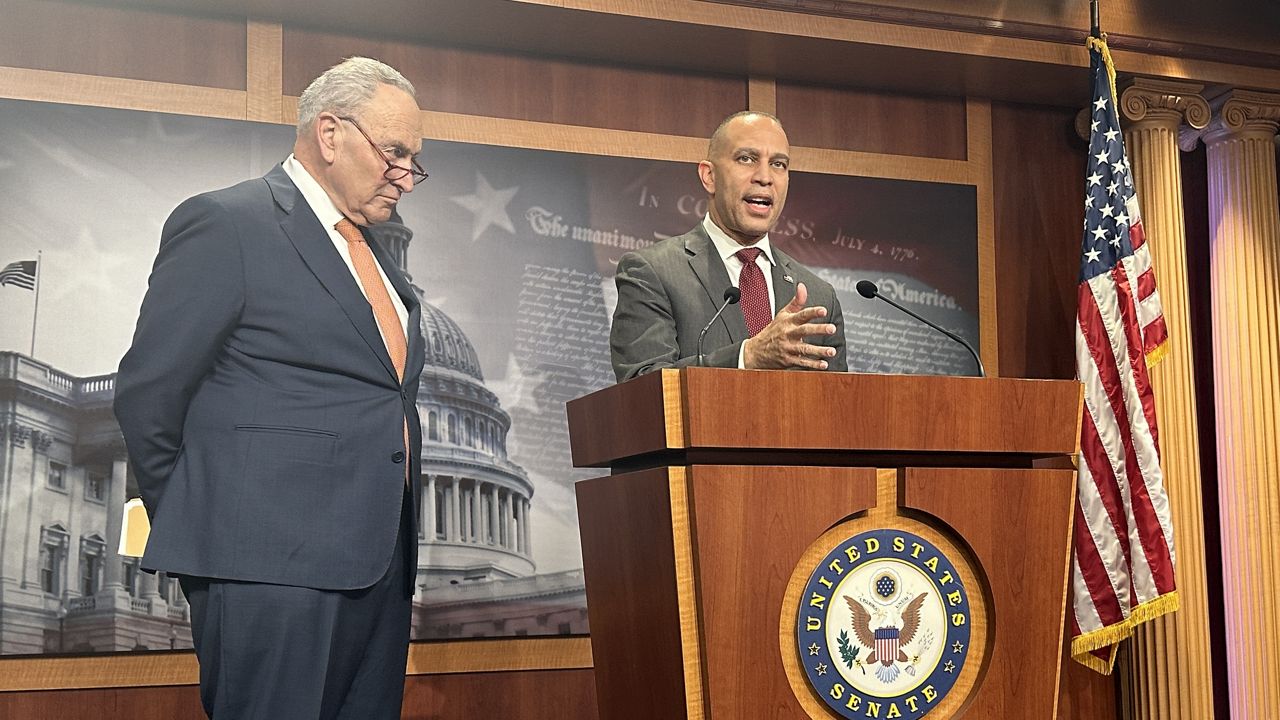 jeffries,-schumer-propose-bill-to-restrict-musk,-outline-strategy-to-counter-trump