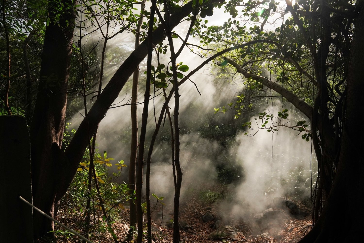 3-questions:-exploring-the-limits-of-carbon-sequestration