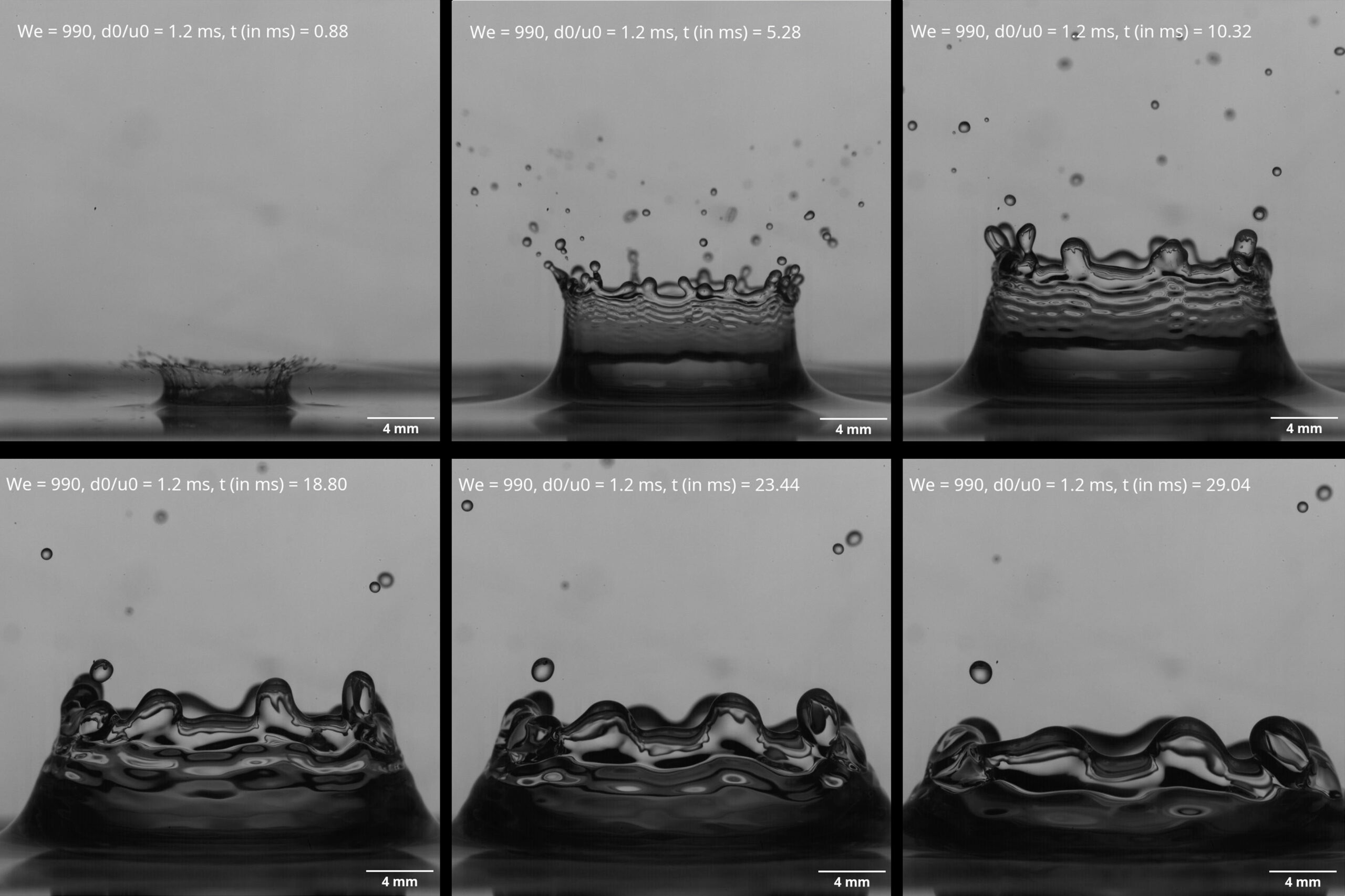 high-speed-videos-show-what-happens-when-a-droplet-splashes-into-a-pool