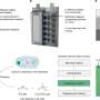 rejuvenating-lithium-ion-batteries-by-injecting-them-with-a-widely-compatible-carrier-molecule