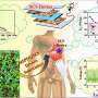 mimosa-seed-bio-piezoelectric-device-functions-as-self-charging-supercapacitor-with-high-efficiency