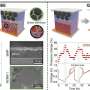 interlocked-electrodes-push-silicon-battery-lifespan-beyond-limits