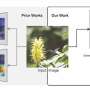 ai-model-classifies-images-with-a-hierarchical-tree-from-broad-to-specific