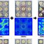 high-quality-oled-displays-enable-screens-to-emit-distinct-sounds-from-individual-pixels