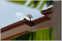 an-indian-government-official-says-starlink-has-secured-a-license-from-the-telecom-ministry-to-launch-services-in-the-country-and-now-must-apply-for-spectrum-(bloomberg)
