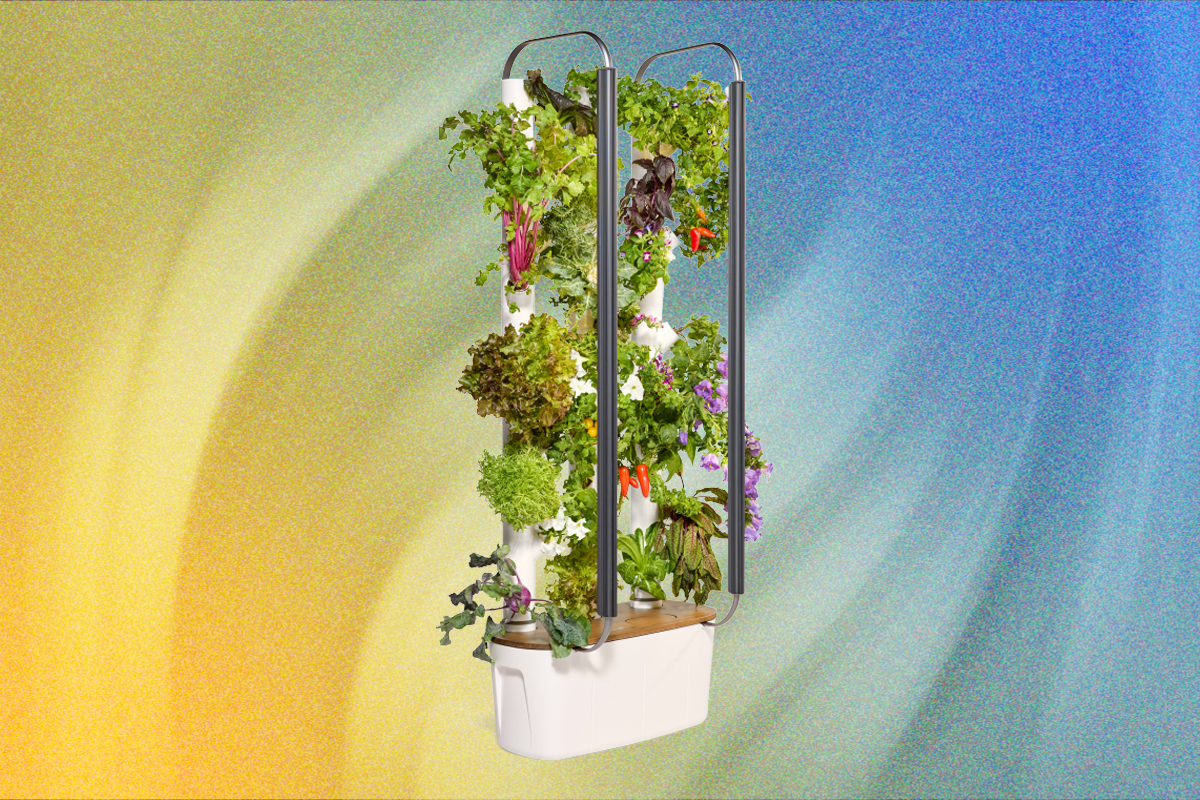 gardyn-indoor-hydroponic-garden-review:-better-growing-through-ai