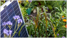 how-innovations-in-garden-technology,-including-ai-driven-watering-systems-and-robotic-mowers,-originally-built-for-agriculture,-are-now-reaching-home-growers-(mark-lane/financial-times)