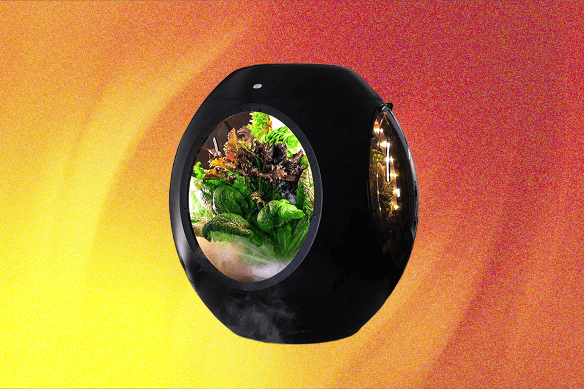 plantaform-smart-indoor-garden-review:-rewarding-but-risky