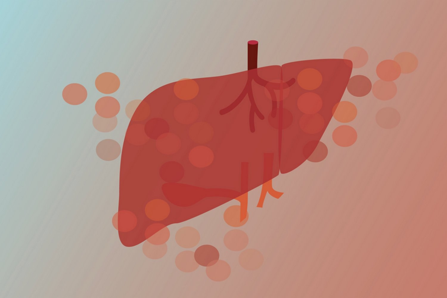 new-method-combines-imaging-and-sequencing-to-study-gene-function-in-intact-tissue