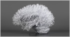 researchers-detail-centaur,-a-modified-version-of-llama-trained-on-10m+-responses-from-160-psychological-experiments,-in-an-attempt-to-mimic-human-cognition-(carl-zimmer/new-york-times)