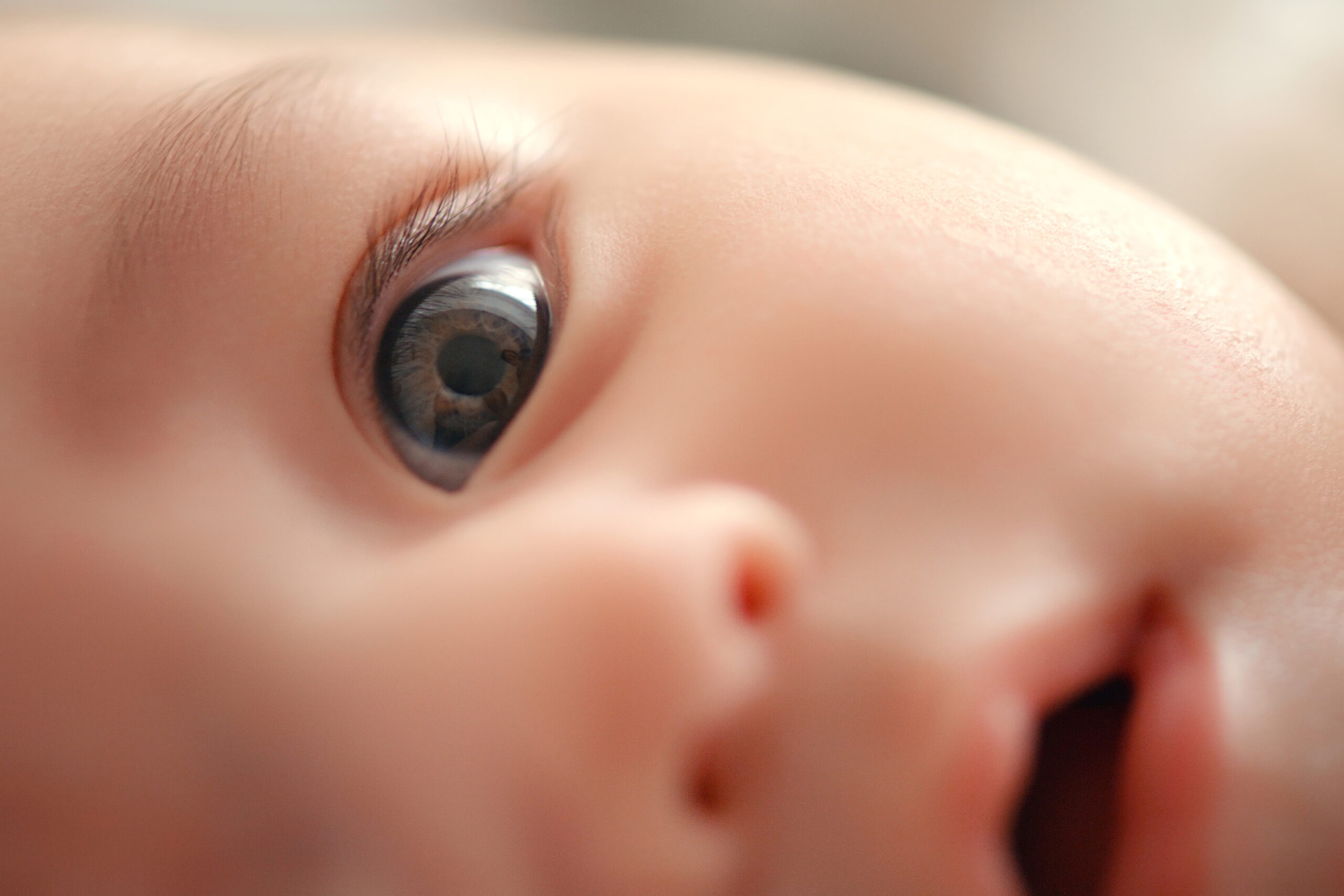 study:-babies’-poor-vision-may-help-organize-visual-brain-pathways