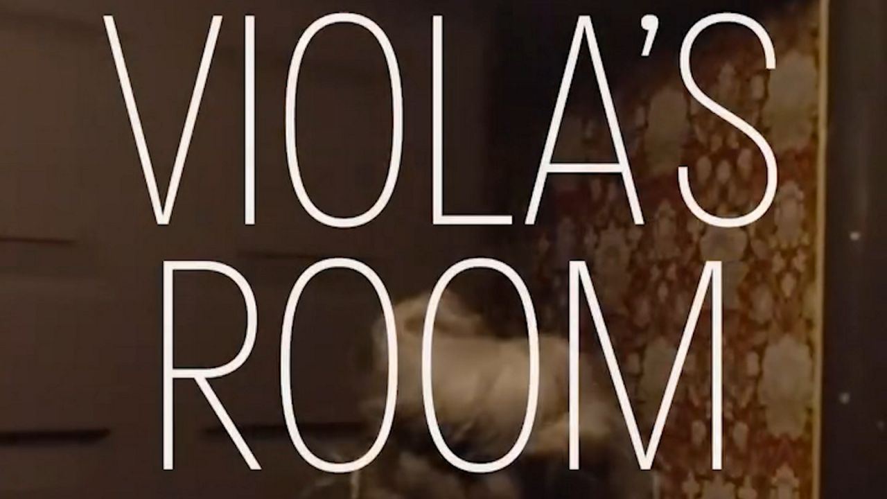 frank-dilella’s-theater-picks:-‘viola’s-room,’-‘ginger-twinsies’-and-more