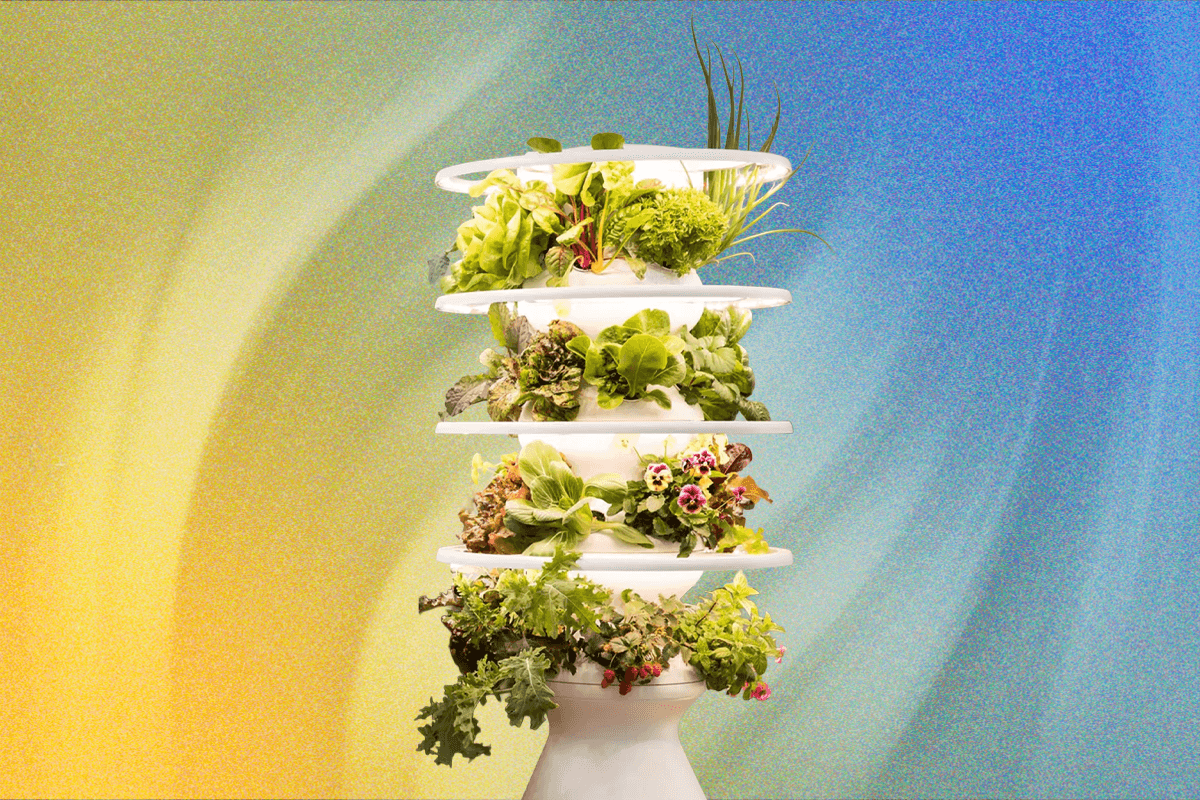 lettuce-grow-indoor-farmstand-review:-grow-your-own