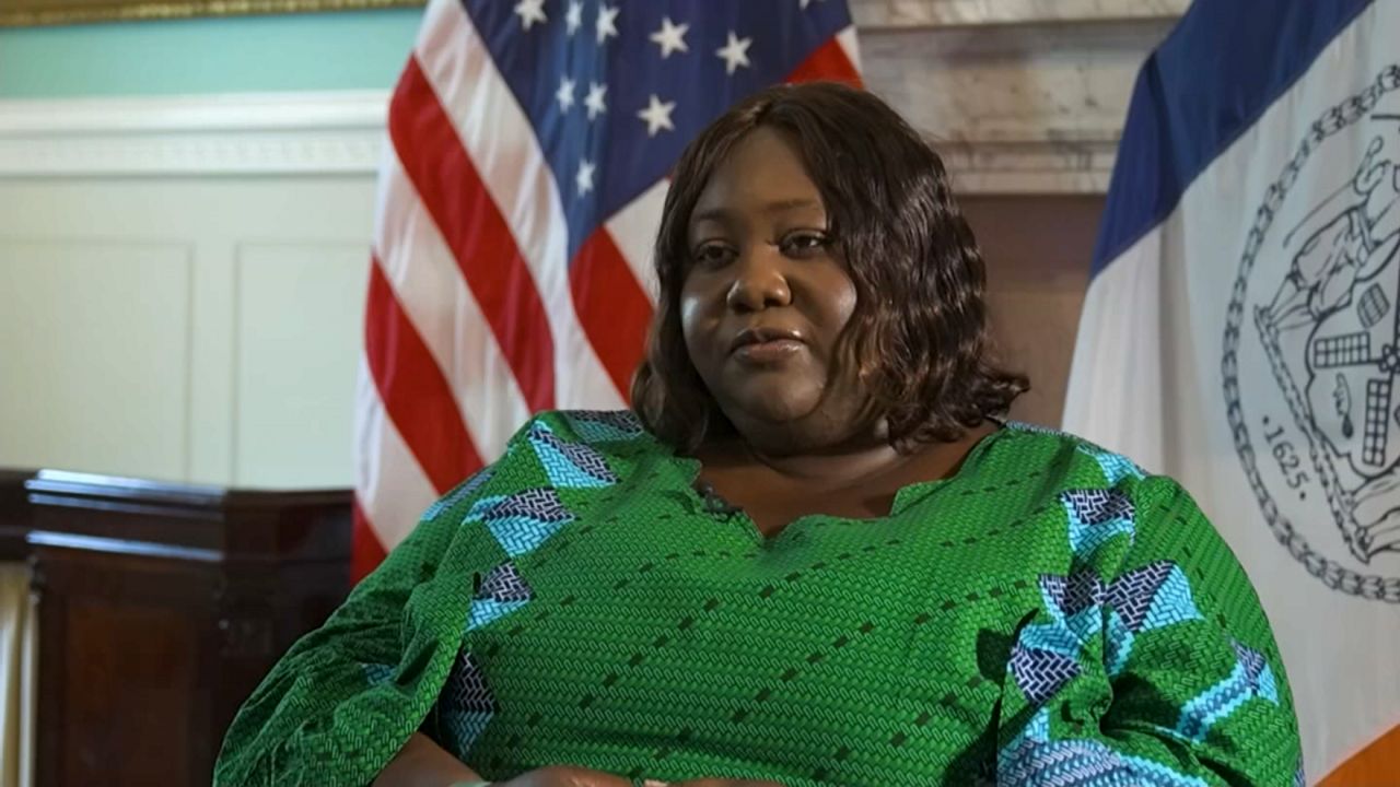 nyc-appoints-new-leader-for-office-of-international-affairs