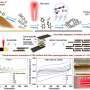 metal-free-supercapacitor-stack-delivers-200-volts-from-just-3.8-cm³