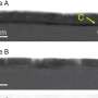 researchers-identify-carbon-contamination-as-key-barrier-in-gallium-oxide-electronics