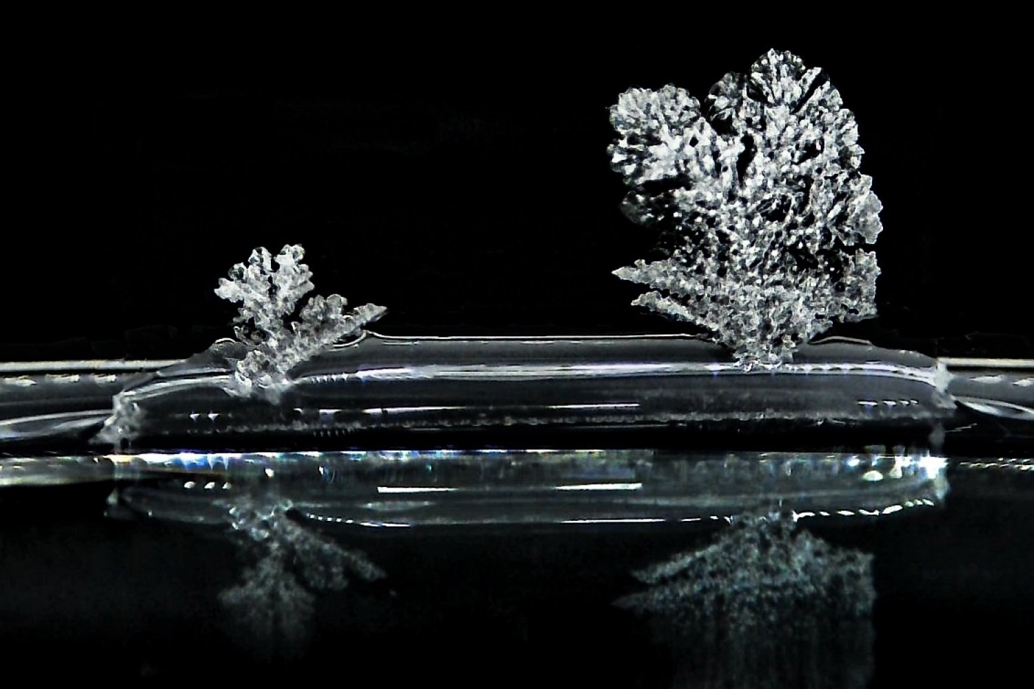creeping-crystals:-scientists-observe-“salt-creep”-at-the-single-crystal-scale