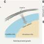 wafer-scale-2d-inse-semiconductors-achieve-record-performance-for-next-generation-electronics