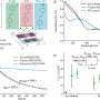 light-sensitive-materials-mimic-synapses-in-the-brain