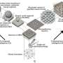 brain-cells-learn-faster-than-machine-learning,-research-reveals