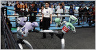 the-world-humanoid-robot-games-kicked-off-in-beijing-on-august-15,-with-robots-across-280-teams-from-16-countries-competing-in-track-and-field-and-other-sports-(reuters)