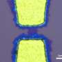 growing-ultrathin-semiconductors-directly-on-electronics-could-eliminate-a-fragile-manufacturing-step