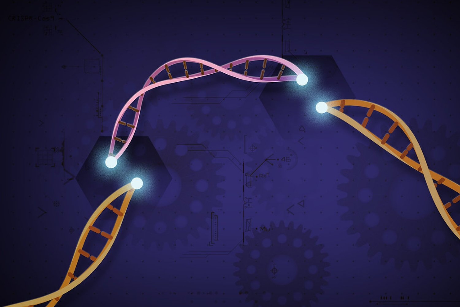 a-boost-for-the-precision-of-genome-editing