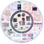 reinventing-fiber-based-pressure-sensors-with-a-unique-internal-structure