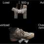prehistoric-basketweaving-inspires-new-materials-for-stiff,-resilient-robots
