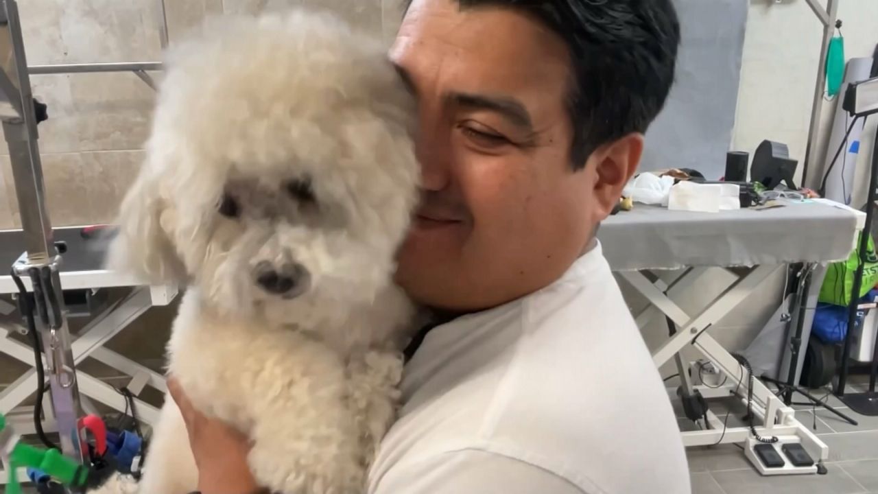 queens-business-owner-shares-concerns-about-ice
