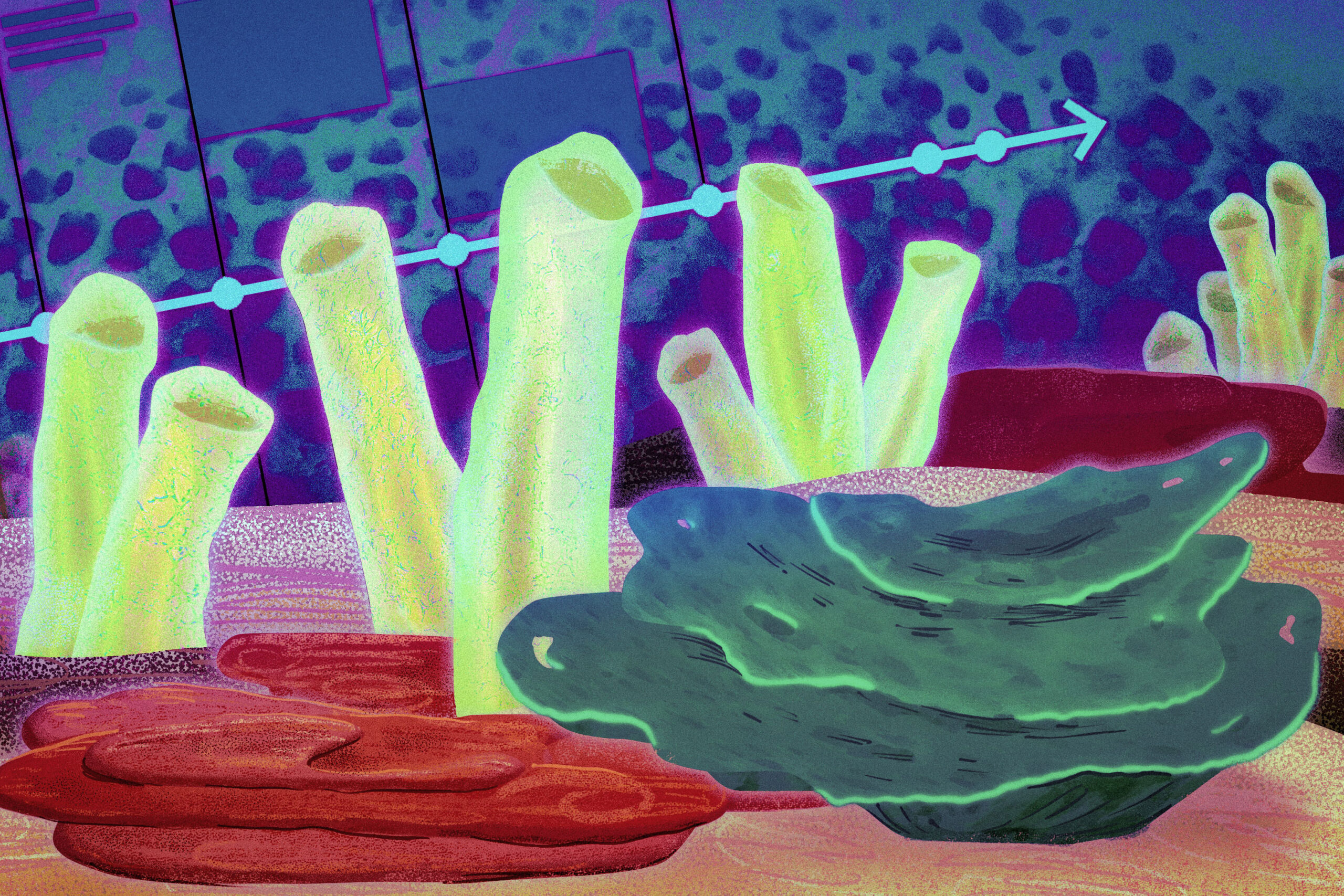 the-first-animals-on-earth-may-have-been-sea-sponges,-study-suggests