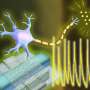 engineers-create-first-artificial-neurons-that-could-directly-communicate-with-living-cells
