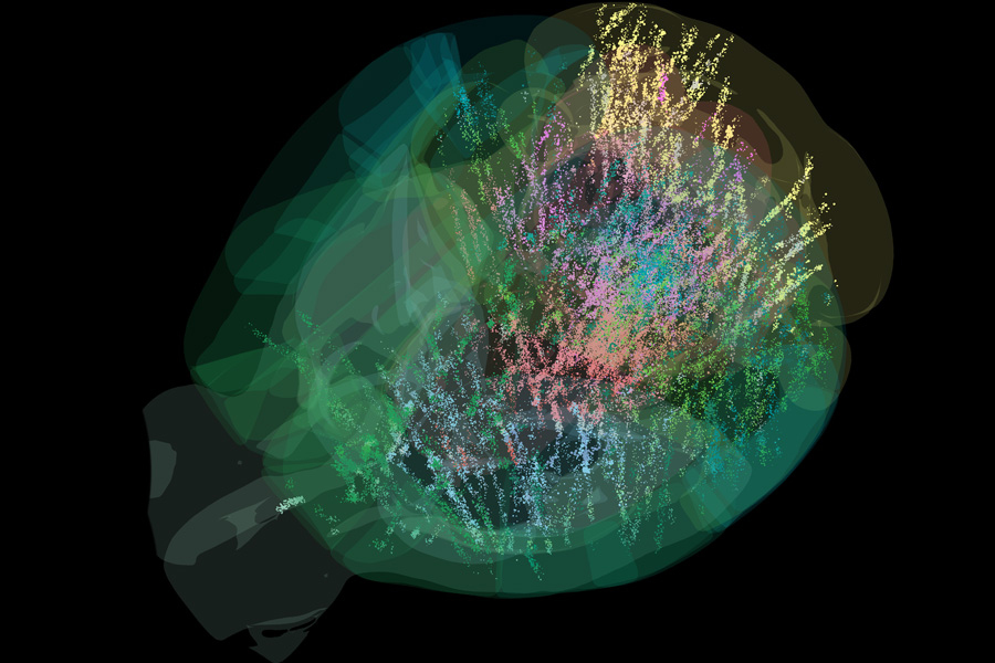 a-comprehensive-cellular-resolution-map-of-brain-activity