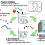 organic-polymer-paves-the-way-for-recyclable-water-based-batteries