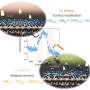 halogen-free-plasma-technique-achieves-atomic-level-etching-of-hafnium-oxide-for-next-gen-semiconductors