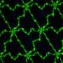 machine-embroidery-encodes-skin-like-tension-lines-in-textiles,-enabling-mass-customizable-wearables