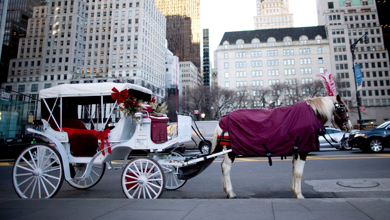 mayor-calls-for-horse-carriage-ban-in-central-park