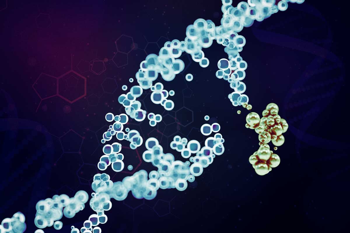 a-more-precise-way-to-edit-the-genome