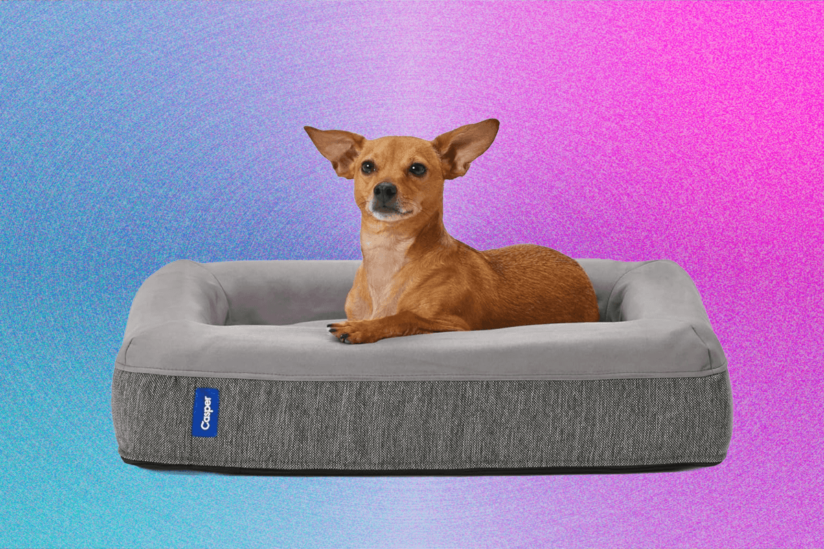 best-dog-beds-(2025):-for-all-kinds-of-dogs-in-all-kinds-of-spaces