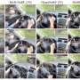 two-stage-framework-reconstructs-sharp-4d-scenes-from-blurry-handheld-videos